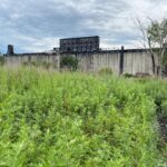 Green Warehousing - green grass field near building during daytime