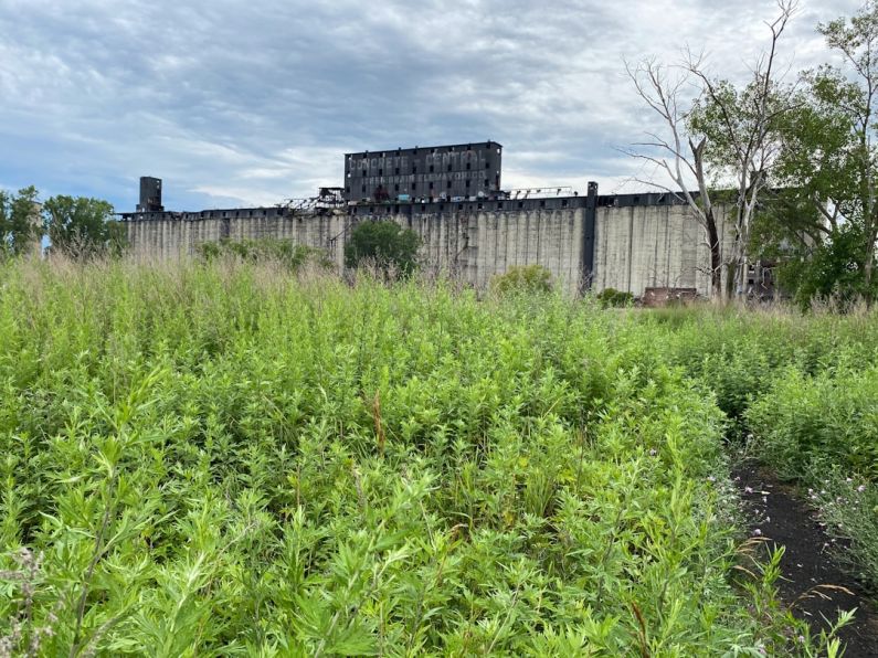 Green Warehousing - green grass field near building during daytime