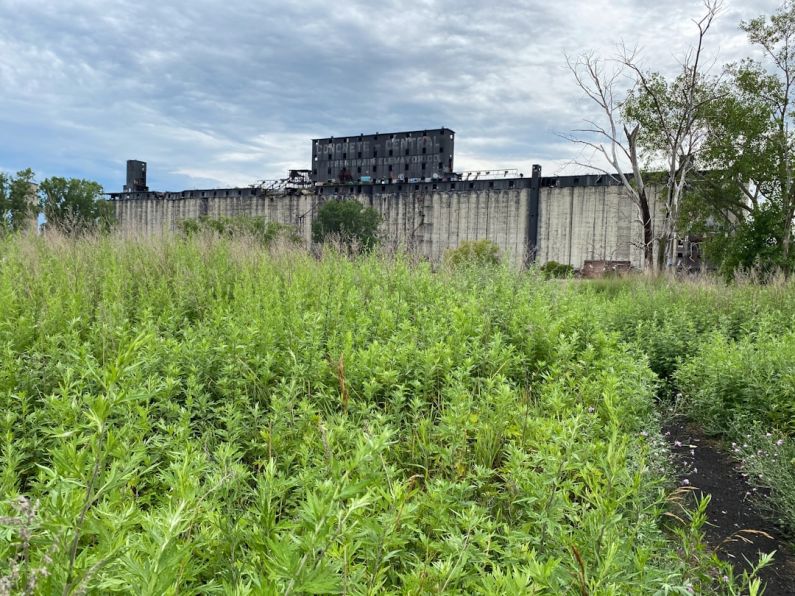 Green Warehousing - green grass field near building during daytime