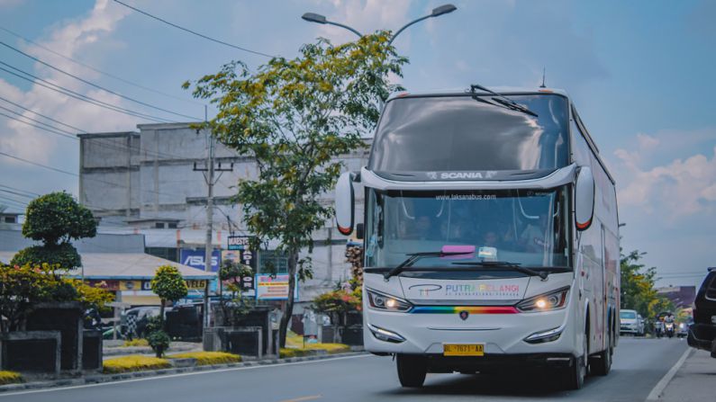 Safety Transport - white and black bus on road during daytime