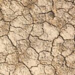 Emissions Reduction - a close up of a cracked surface of dirt