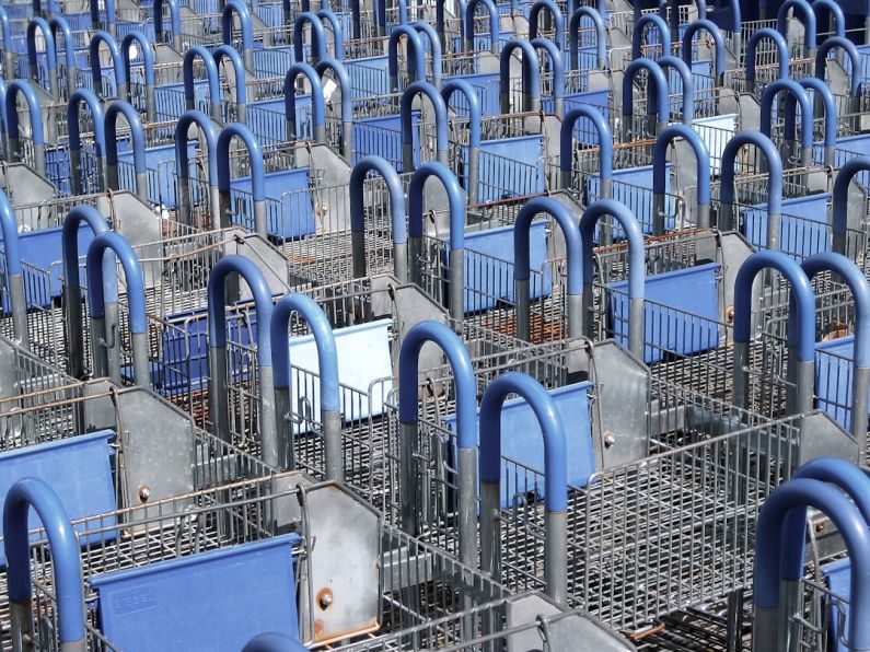 Tracking E-commerce - blue and gray rack lot