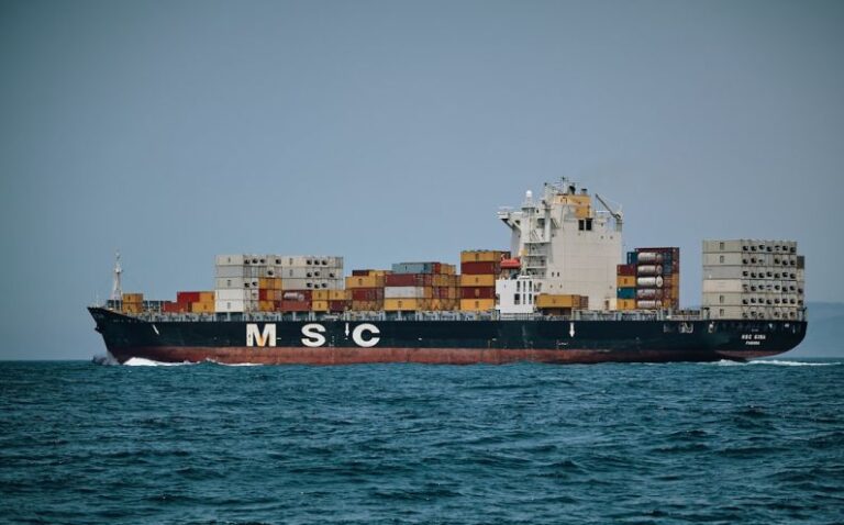 Freight Cargo - M S C cargo ship sailing