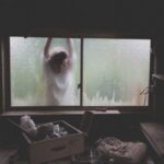 Innovative Storage - woman leaning on window